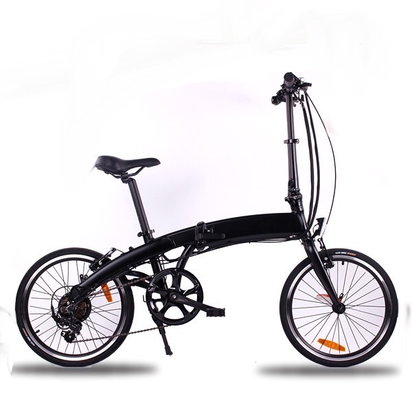 OEM Folding Electric Bike with Battery